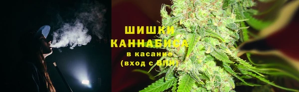 2c-b Пересвет