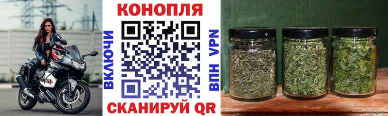 Шишки марихуана Ganja где продают наркотики mega tor Лениногорск