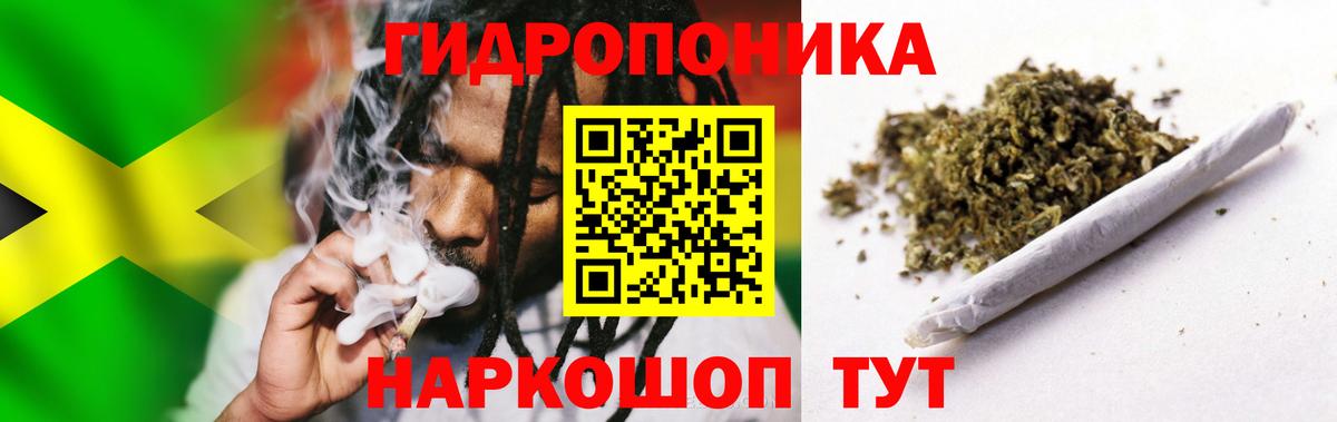 Каннабис планчик  Вход с VPN  Лениногорск  Марихуана White Widow  Марихуана VHQ  Каннабис конопля 